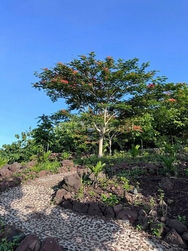 BÁN ĐẤT VƯỜN VIEW SÔNG LA NGÀ – DIỆN TÍCH 1.400m² – GIÁ CHỈ HƠN 1 TỶ  