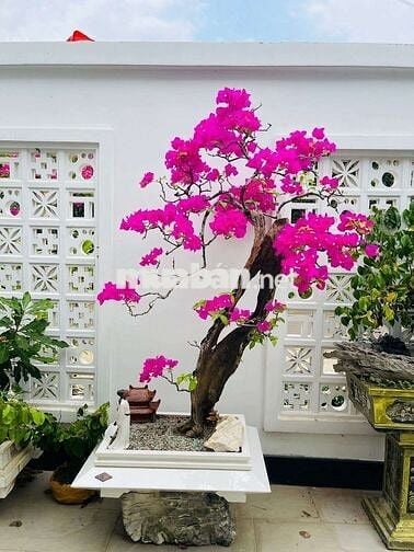 Phòng thật 100% phù hợp 1,2 bạn riêng tư thoải mái