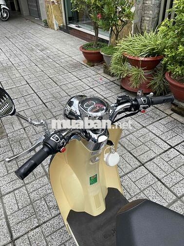 Detech Crea 50 2023 Xám, vàng kem