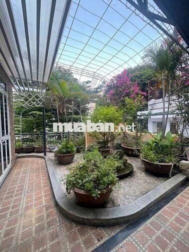 CHO THUÊ NHÀ CĂN GÓC KHU K300. ĐƯỜNG C18, P12, Q. TÂN BÌNH