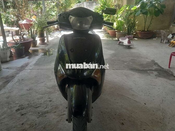 Honda Lead Đen Xăng
