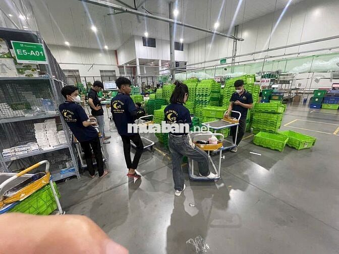 LƯƠNG 9-20TR-SOẠN -ĐÓNG GÓI THUỐC TÂY-THỦ DẦU 1