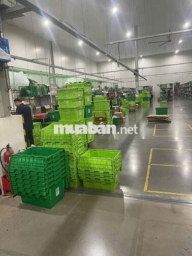 LƯƠNG 9-20TR-SOẠN -ĐÓNG GÓI THUỐC TÂY-THỦ DẦU 1
