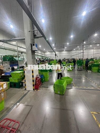 LƯƠNG 9-20TR-SOẠN -ĐÓNG GÓI THUỐC TÂY-THỦ DẦU 1