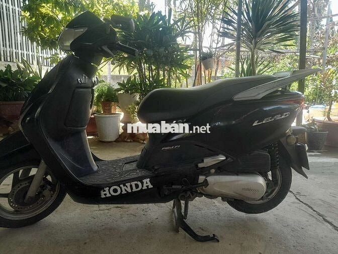 Honda Lead Đen Xăng