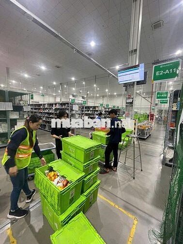 LƯƠNG 9-20TR-SOẠN -ĐÓNG GÓI THUỐC TÂY-THỦ DẦU 1