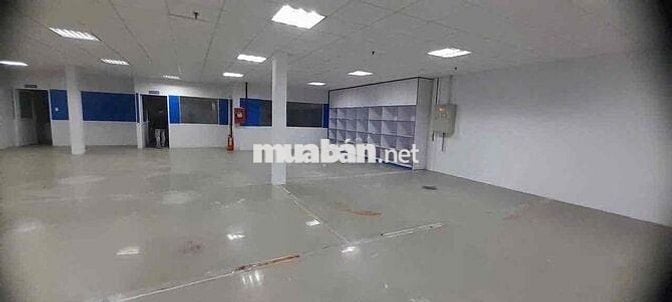 🔥CHO THUÊ XƯỞNG TÂN THỚI NHẤT KHU 10ha giá tốt