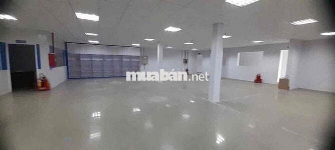 🔥CHO THUÊ XƯỞNG TÂN THỚI NHẤT KHU 10ha giá tốt