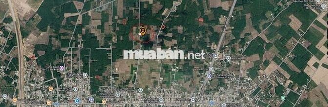 Bán đất xã Vĩnh Thanh, Nhơn Trạch, Đồng Nai (Có TL)