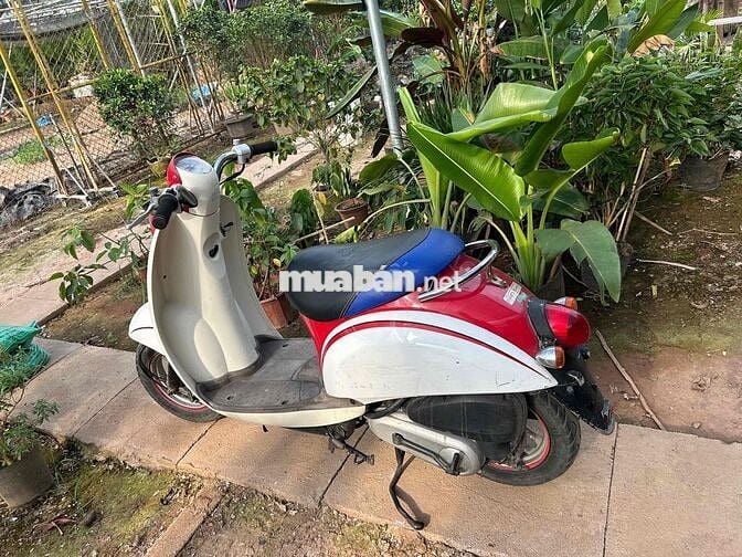 Honda Scoopy màu Đỏ Trắng Nhật Bản