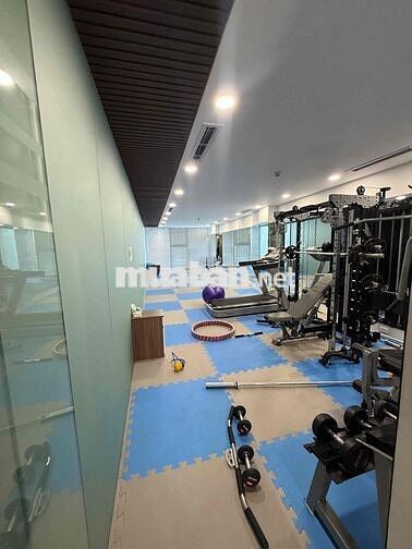 CHO THUÊ TOÀ NHÀ VĂN PHÒNG MẶT TIỀN KHU 300C GIÁ TỐT
