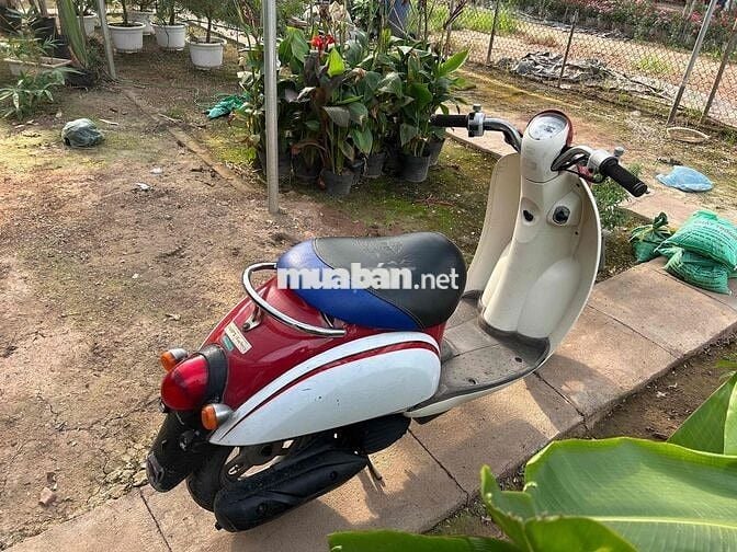 Honda Scoopy màu Đỏ Trắng Nhật Bản