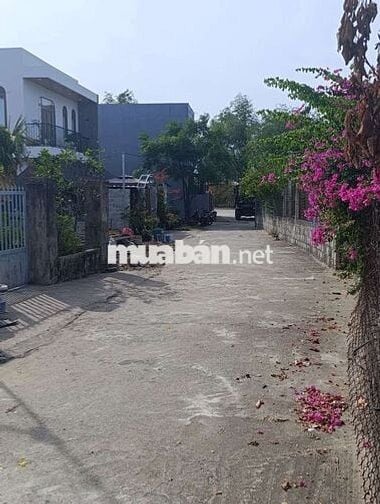 Đất hai mặt kiệt làng đại học 