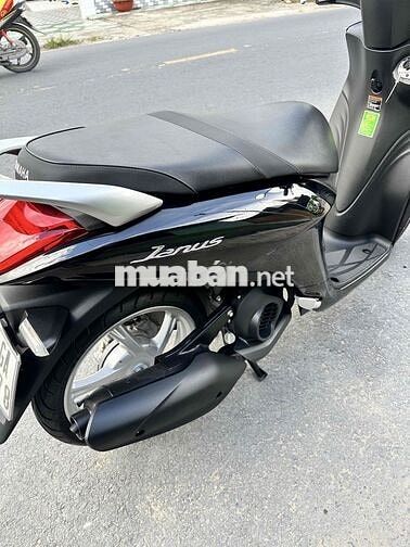 Yamaha Janus 2022 ( góp cần cccd không nợ xấu  )