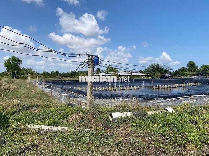 CHÍNH CHỦ BÁN 3 MẢNH ĐẤT VUÔNG TÔM VEN SÔNG MỸ THANH