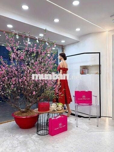 Shop MT 333 Võ Văn Tần, Q3. Dt: 6x10m, Kc: trệt 2 lầu. Gía: 55tr