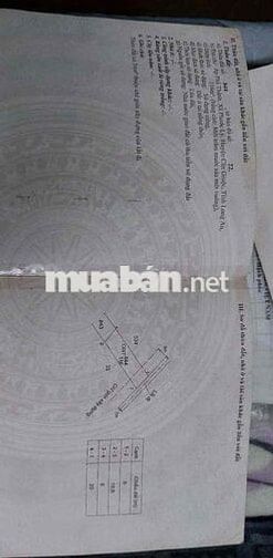 🌿 BÁN LÔ ĐẤT ĐẸP – PHƯỚC LÝ, CẦN GIUỘC, LONG AN