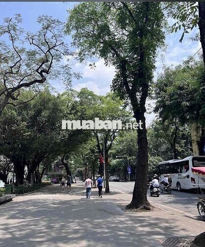 bán đất vila 10x23,5 đông nam , ven sông cổ cò