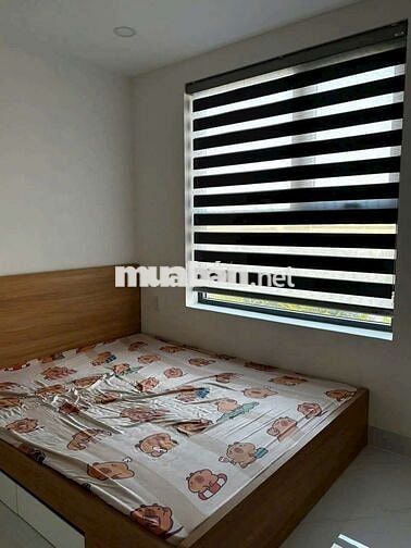 cho thuê căn hộ 2pn phú mỹ c2 tdm Bình Dương 