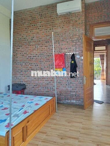 cho thuê nhà sân vườn đẹp hoà xuân