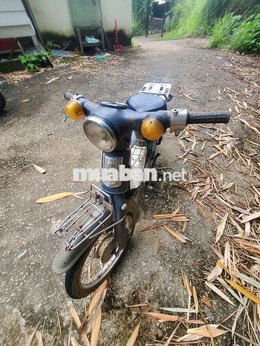 Honda Cub 81 Xanh trắng Đã sử dụng