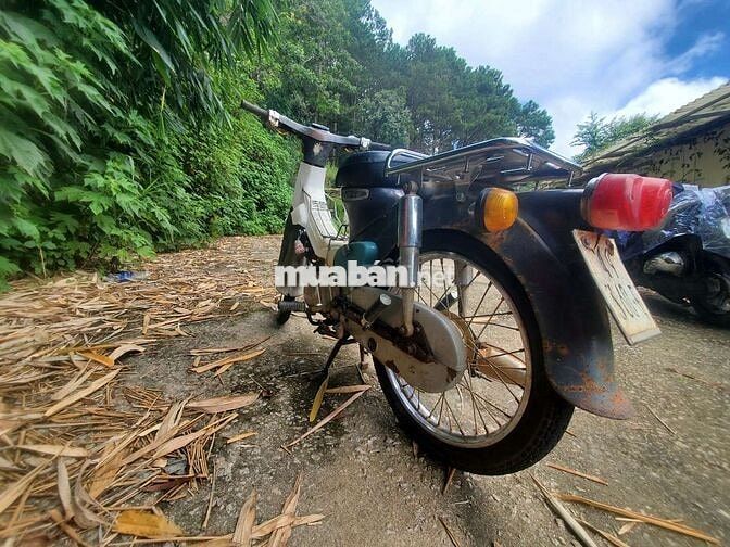 Honda Cub 81 Xanh trắng Đã sử dụng