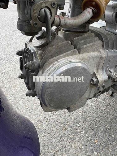 Honda Alpha 204 úp ZX Tự động Tím