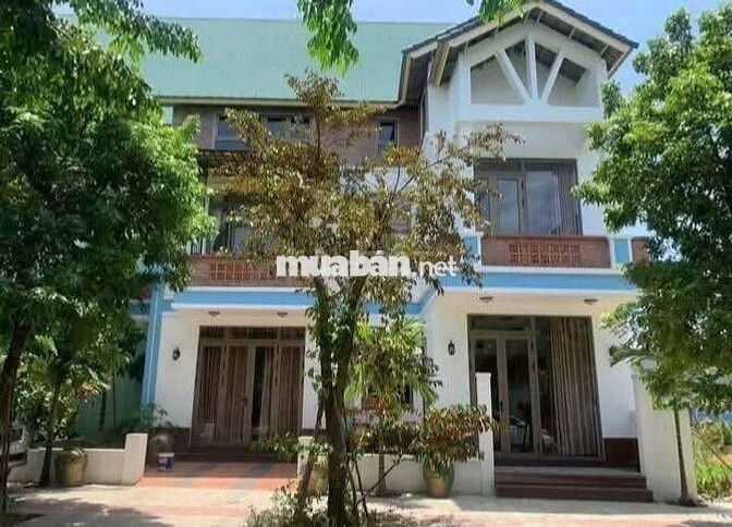 cho thuê nhà sân vườn đẹp hoà xuân