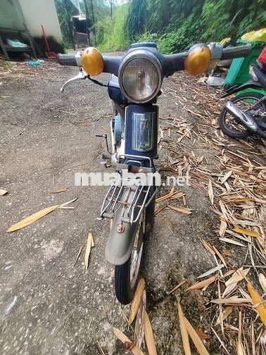 Honda Cub 81 Xanh trắng Đã sử dụng