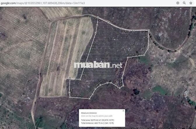 Bán 8863m2 giá rẻ 160k/m2, xã Tân Minh, Lâm Đồng, sát bên cao tốc, KCN
