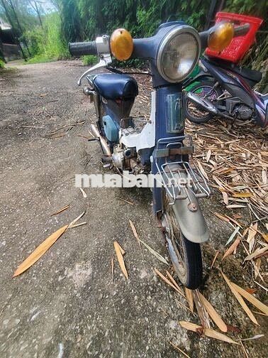 Honda Cub 81 Xanh trắng Đã sử dụng