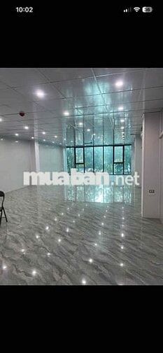 cho thuê nhà diện tích từ 100m2 đến 1000m2
