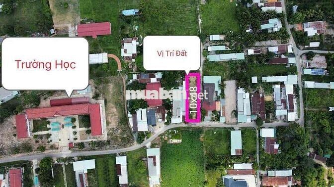 Bán Đất Đẹp Xã Phước Thạnh Gò Dầu Tây Ninh 10x48 ,2.45Tỷ