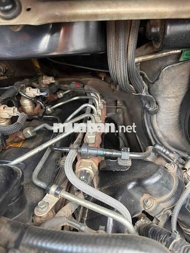 Ford Transit Bản thường 2016 Bạc 250.000km