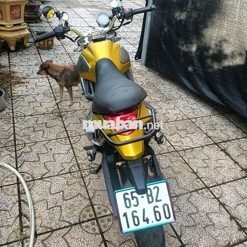 GPX 125cc Thái Lan Vàng 4941 km
