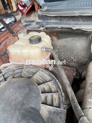 Ford Ranger Wildtrak 3.2AT 4x4 2016 Cam
