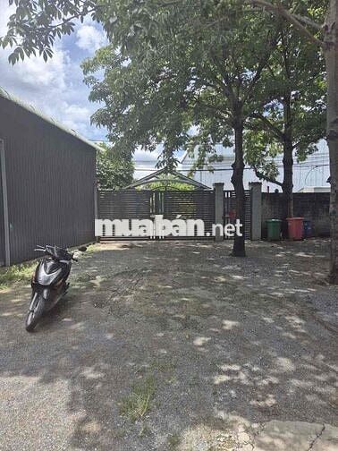 Cho thuê nhà kho 300m² Đường Trần Hưng Đạo, Phường Đông Hoà