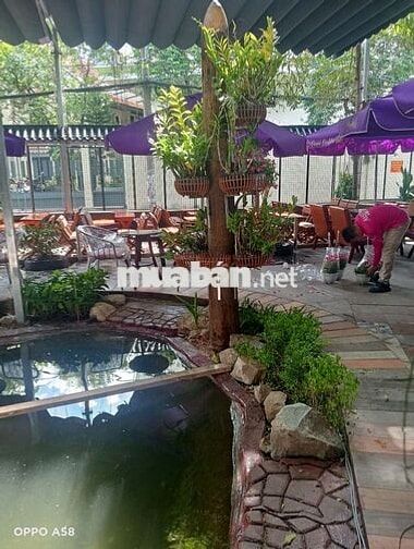 TUYỂN NHÂN VIÊN PHA CHẾ 