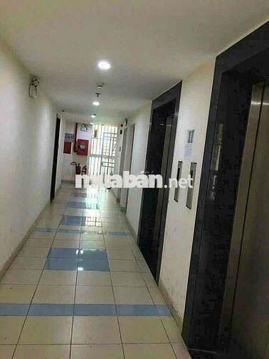 Căn Hộ C.c Đông Hải 54m2 2PN 2WC Sổ Hồng Riêng