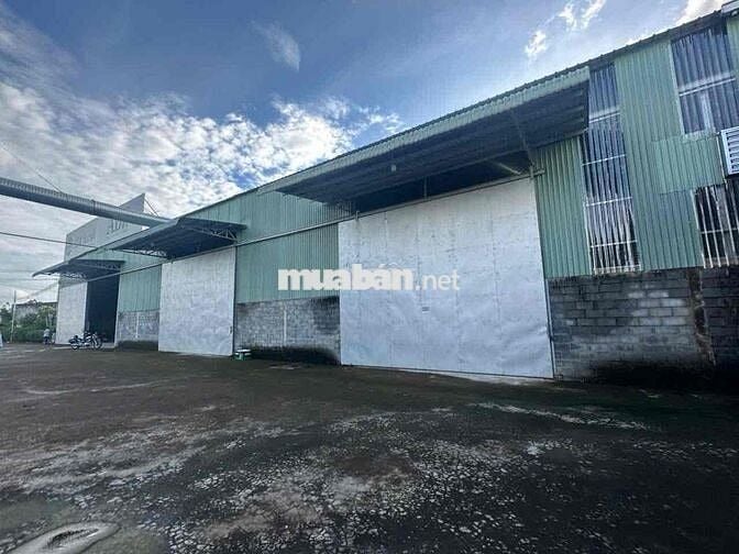 🔴 CHO THUÊ KHO XƯỞNG LONG AN HÌNH ẢNH THẬT GIÁ RẺ