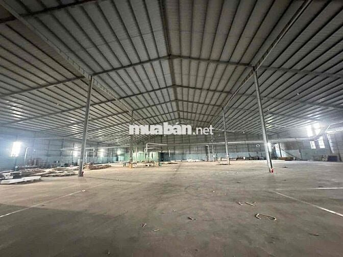 🔴 CHO THUÊ KHO XƯỞNG LONG AN HÌNH ẢNH THẬT GIÁ RẺ