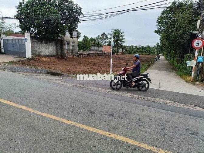 Nhà dt lớn nợ ngân hàng cần bán gấp