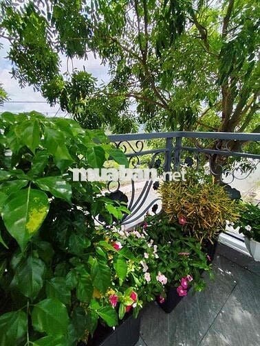 CẦN BÁN NHÀ KĐT CÁT TƯỜNG PHÚ SINH GIÁ  – DT 4x18M SHR CÓ SẴN 🏡
