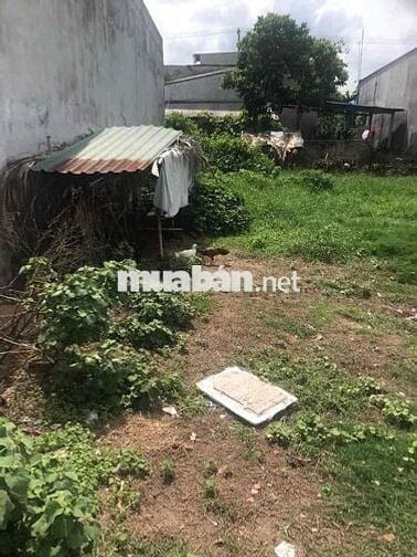 Cần BÁN GẤP đất CHÍNH CHỦ sổ hồng riêng Xã Đức Hạ