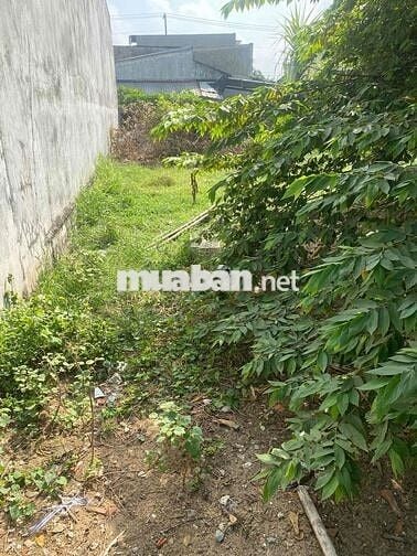 Cần BÁN GẤP đất CHÍNH CHỦ sổ hồng riêng Xã Đức Hạ