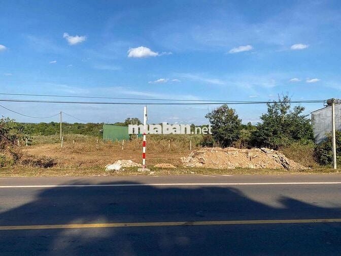 🚨 TÌM ĐÂU RA ĐẤT MẶT TIỀN TỈNH LỘ 1 EANUOL GIÁ 740K/M²?