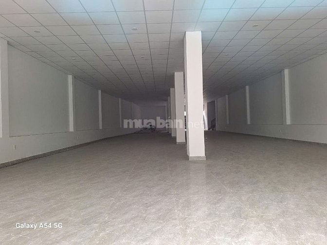 Cho thuê Toà Nhà Mặt Tiền Quang Trung, P8, Gò Vấp11x42m, 1 trệt 2 lầu