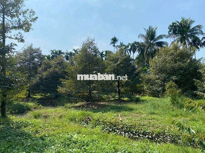Bán 66m Mặt tiền tỉnh lộ 926 ( 16.000m2)