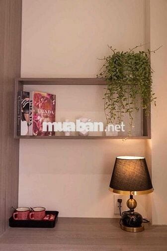 TRỐNG PHÒNG MỘT NGƯỜI CỬA SỔ TRỜI THANG MÁY GIỮ PHÒNG LÂU NGAY CMT8