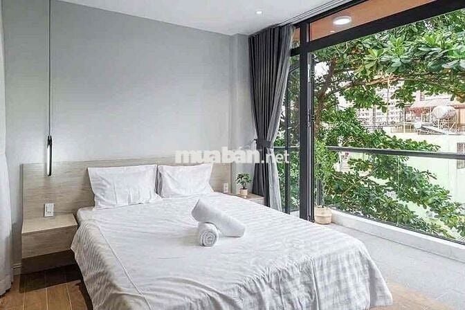 🔥 KHAI TRƯƠNG DỰ ÁN MỚI CHDV TẠI TÂN BÌNH – SANG, XỊN, GIÁ CỰC MỀM 🔥